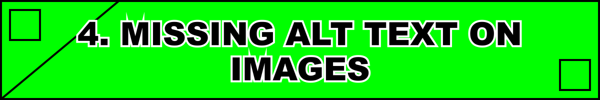 4. Missing Alt Text on Images