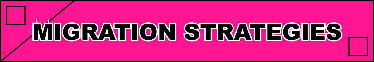 Migration Strategies