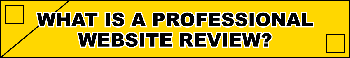 What is a Professional Website Review?