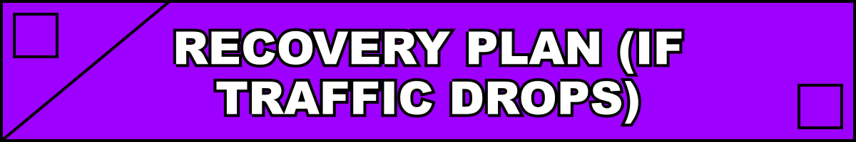 Recovery Plan (If Traffic Drops)