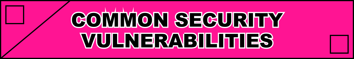 Common Security Vulnerabilities
